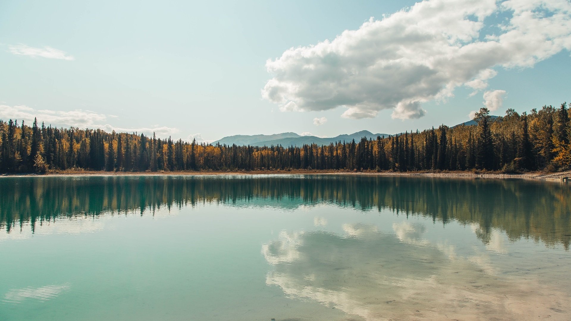 平凡奇迹与非凡统治，篮球的双重面孔
