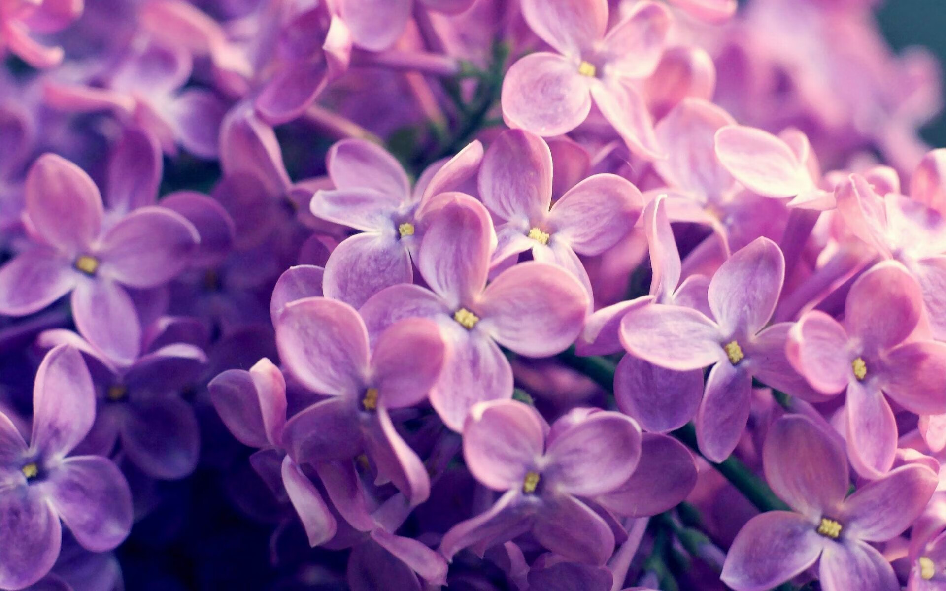 恩怨间，唯此里程碑，蒂亚戈的蓝色传奇一刻