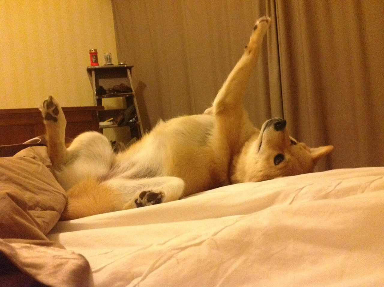 舞台中央与战术罗盘,卢卡库的英雄主义与智利式压制的现代足球启示