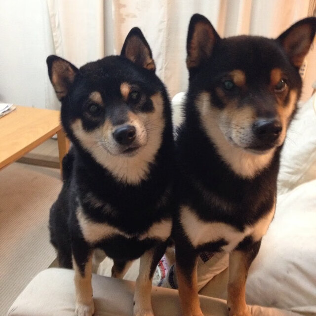 末节15分接管比赛!詹姆斯关键先生本色,湖人展露冠军相