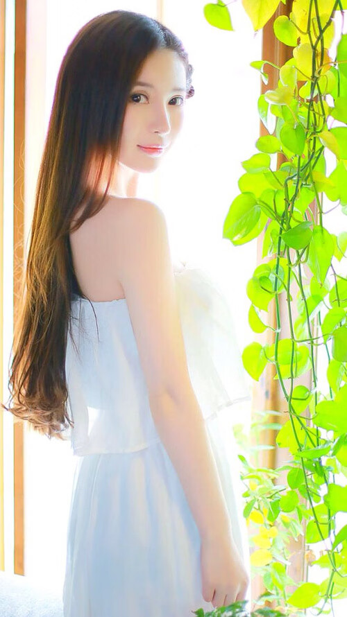 跨时空对决,辽宁男篮如何用库里的法则演绎绿军终结术