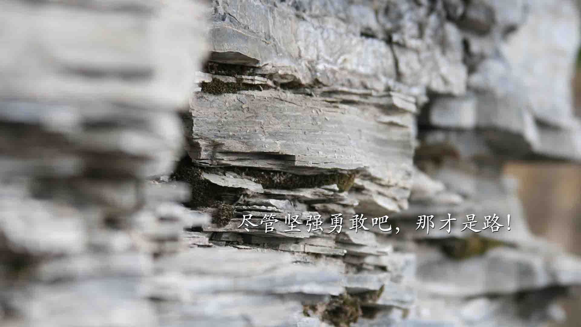 老兵不死，传奇再续，吉鲁的美加墨独舞，如何让斯洛伐克与伊拉克的焦点战写满唯一